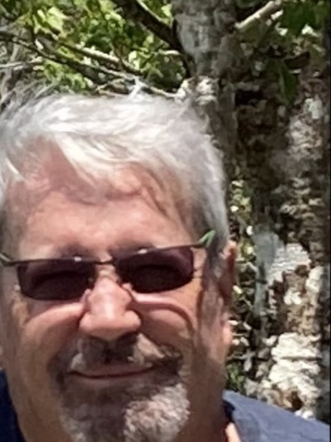 Mick Dwyer